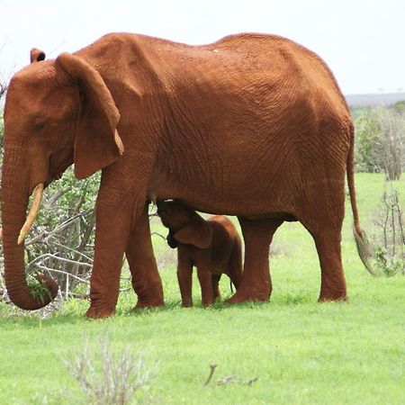 Ghelli House - Milele Resort Watamu Luaran gambar